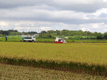 DSC00175