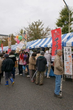 DSC04147B