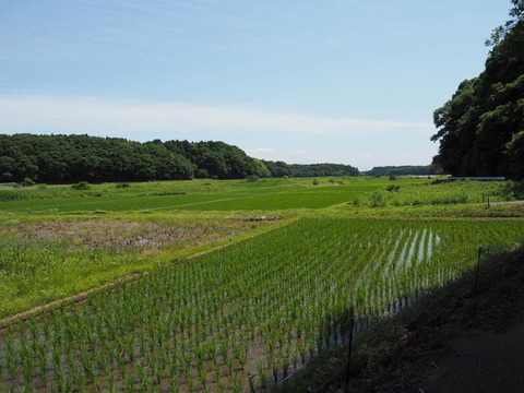 P6032660
