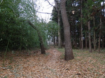 DSC01216