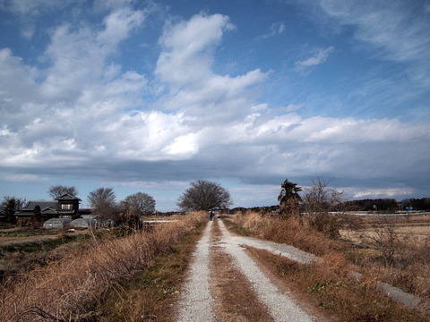 P1265137