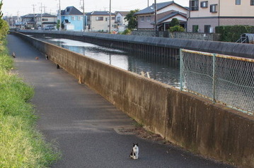 DSC04226