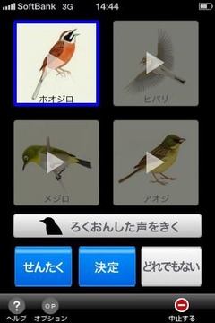 写真 11-08-06 14 44 44