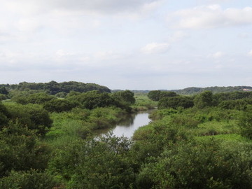DSC00162