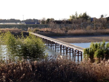 DSC01179