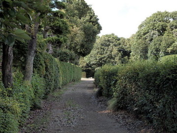 P9163276
