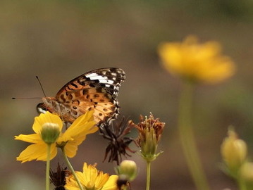 P9163256