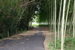 DSC03697