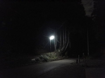 DSC03795