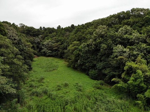 DJI_0020