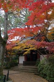 DSC00701
