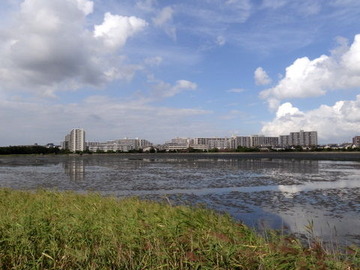 DSC00368