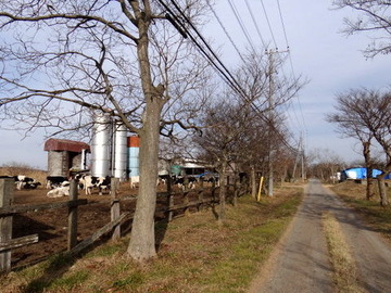 DSC01315