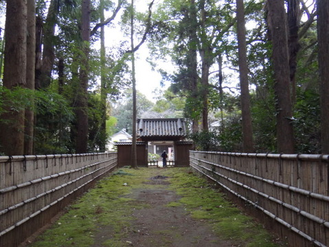 DSC03554