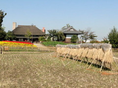 DSC02971