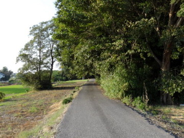 DSC00679