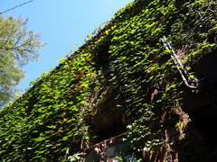 DSC00452