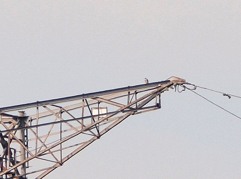 P9303389-2
