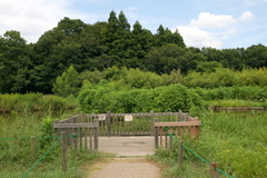 DSC03708