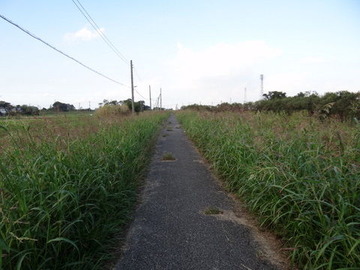 DSC00671
