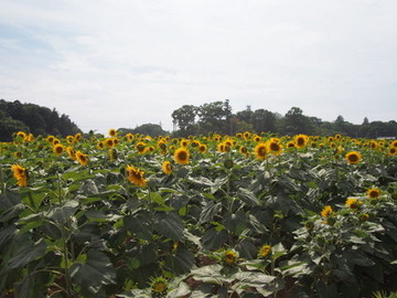 P7210080