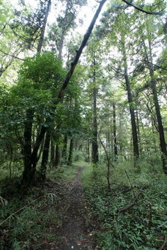 DSC04200B