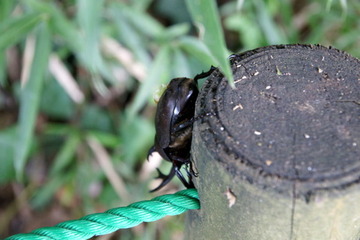 DSC03704