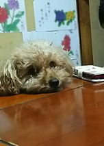 IMG_20180906_232206