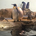 写真 2018-10-09 12 24 25