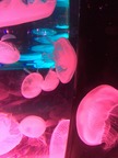 写真 2018-10-09 13 03 54