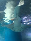 写真 2018-10-09 12 04 19