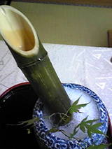 冷酒