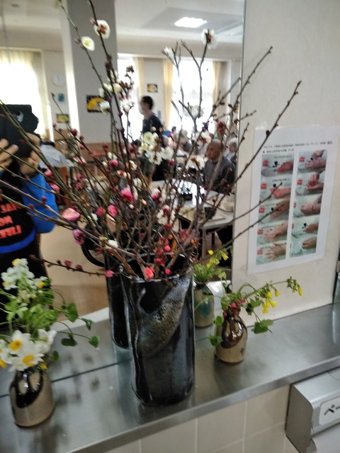 IMG_20190214_120349