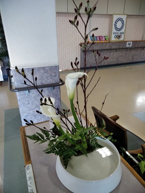 IMG_20190214_131802