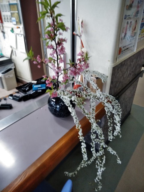 IMG_20190321_094333