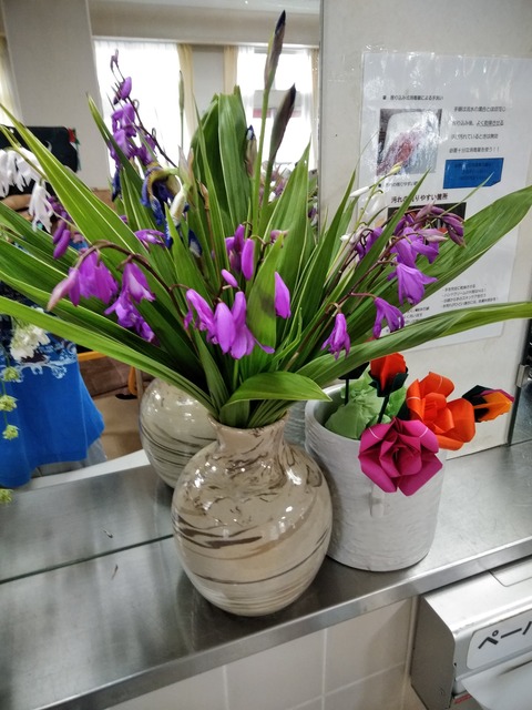 IMG_20190509_114600