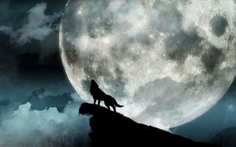 MoonAndWolf