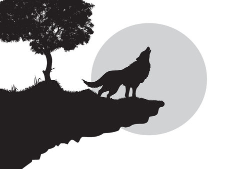 wolf-tattoo-2
