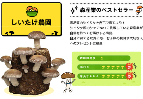 shiitake-appeal-0