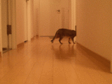 b0c5b827.gif