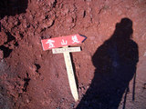 88c294f3.jpg