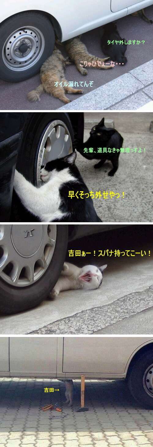 a87182d5