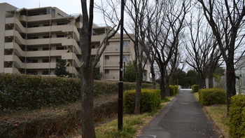 クズの本懐 057
