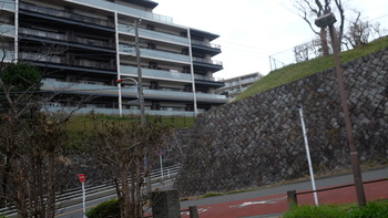 青ブタ 024