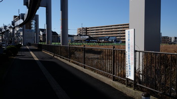 iphpne 209