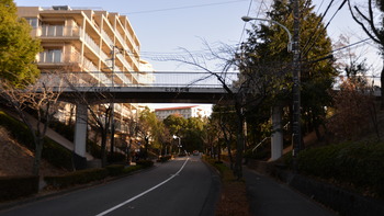 クズの本懐 036