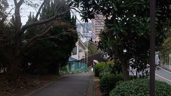 2018-11-09-11-49-02