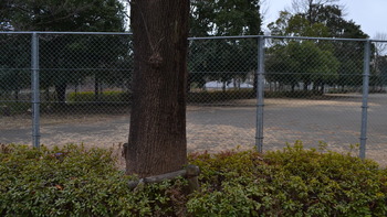 クズの本懐 042