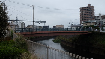青ブタ 248