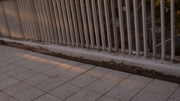 クズの本懐 074